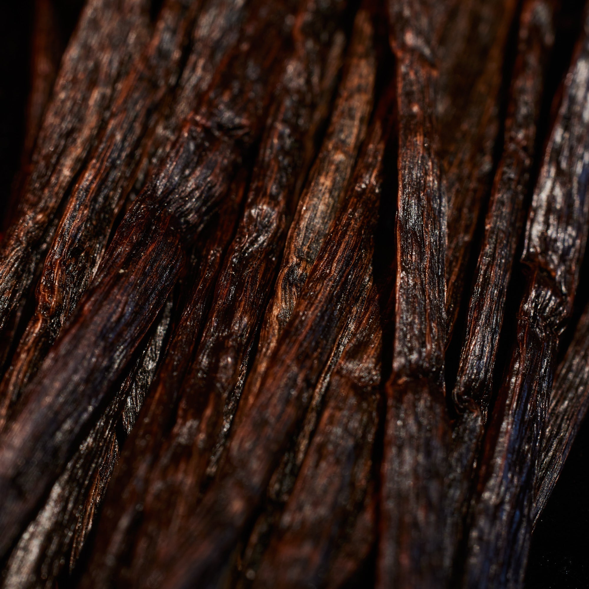 Oudgasm Rose Oud | 16