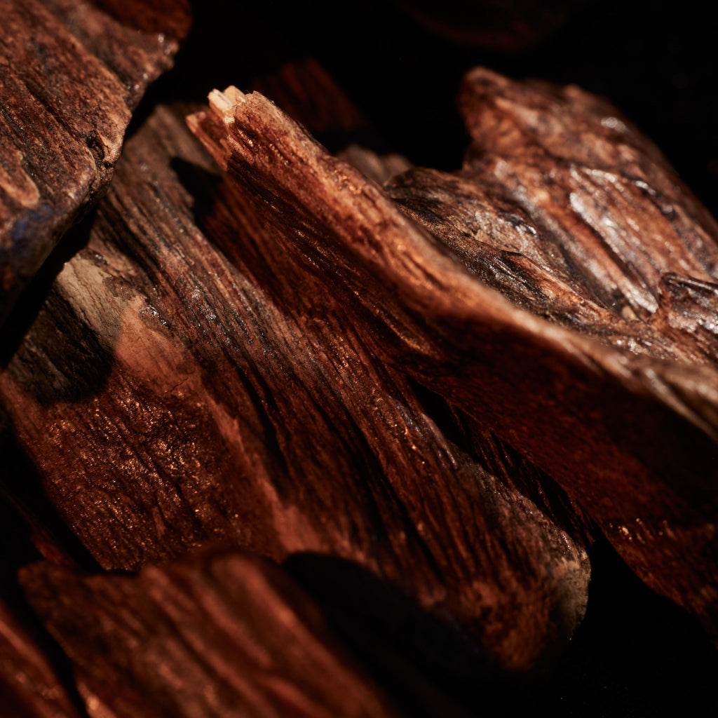 Oudgasm Smoky Oud | 07