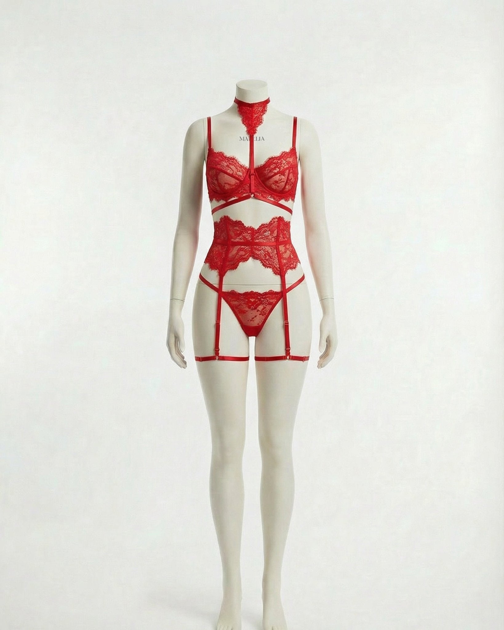 Underwired Bra and Corset Combo with Floral Lace - 4 Piece Lingerie Set - AR UNIVERSALghntshLingerie Sets