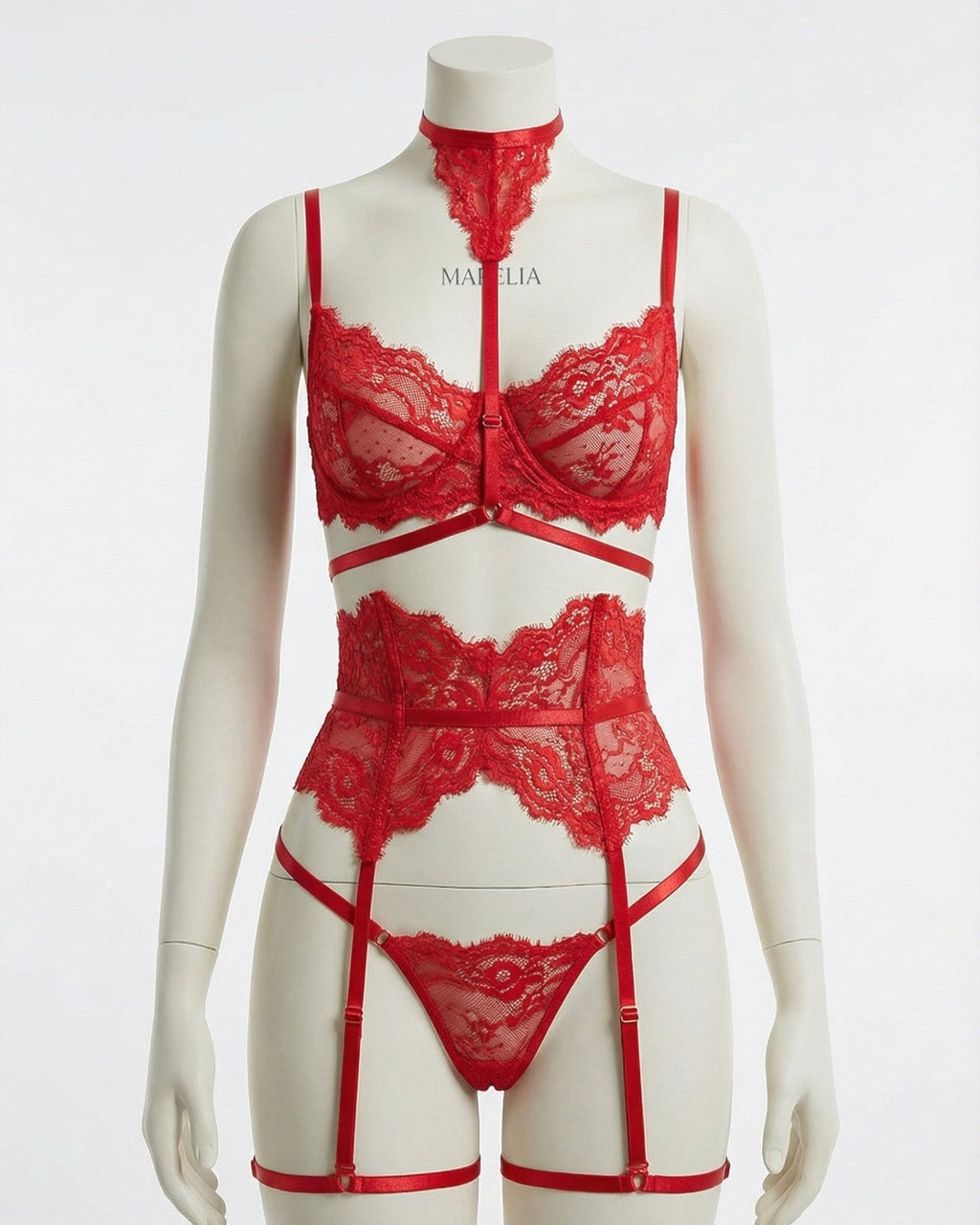 Underwired Bra and Corset Combo with Floral Lace - 4 Piece Lingerie Set - AR UNIVERSALghntshLingerie Sets