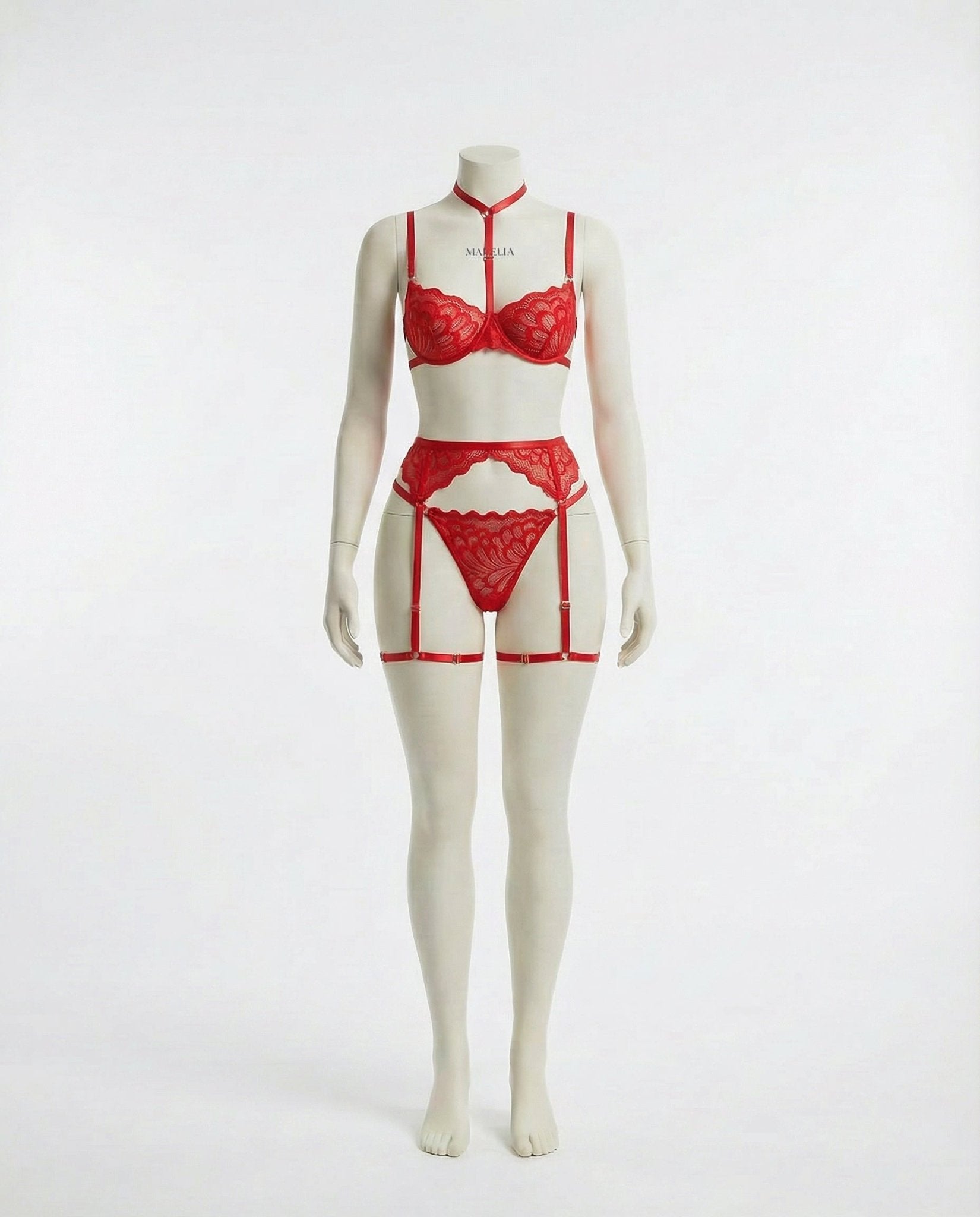 Elegant Lace Lingerie Set: Bra, Brief & Garter Trio - AR UNIVERSALghntshLingerie Set