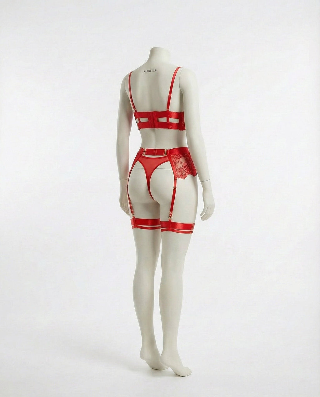 Lace Underwire Bra and High-Waist Brief Set with Lingerie Garter - AR UNIVERSALghntshLingerie Set