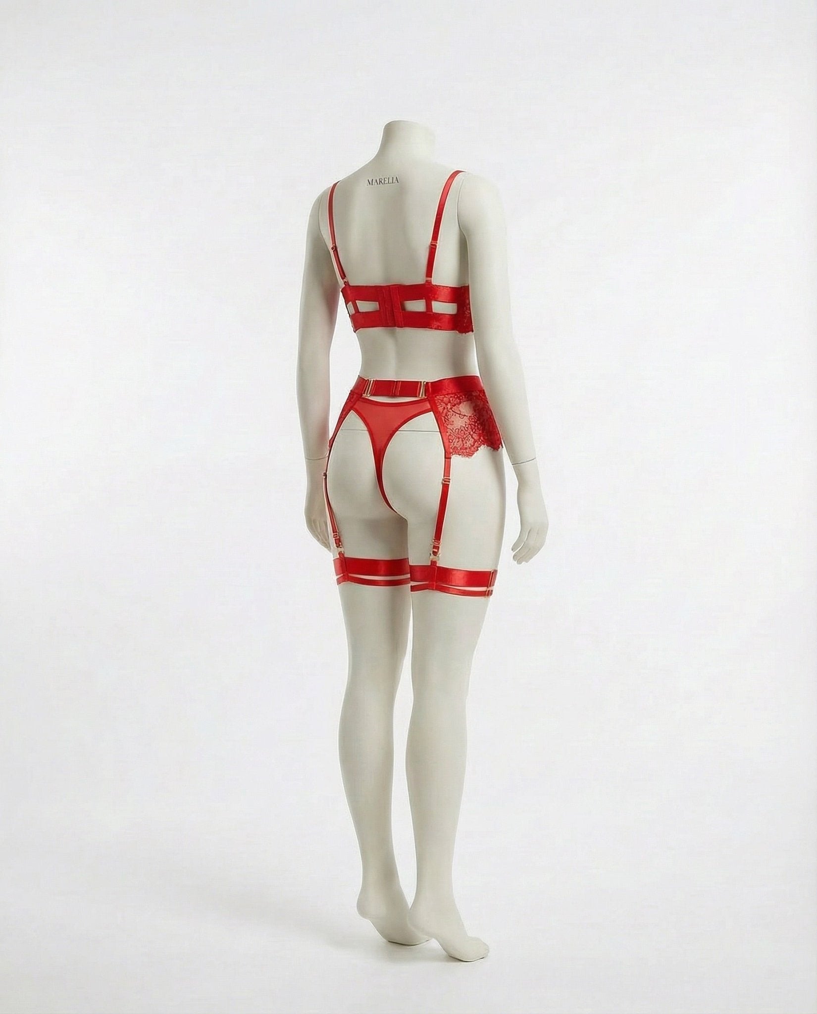Lace Underwire Bra and High-Waist Brief Set with Lingerie Garter - AR UNIVERSALghntshLingerie Set