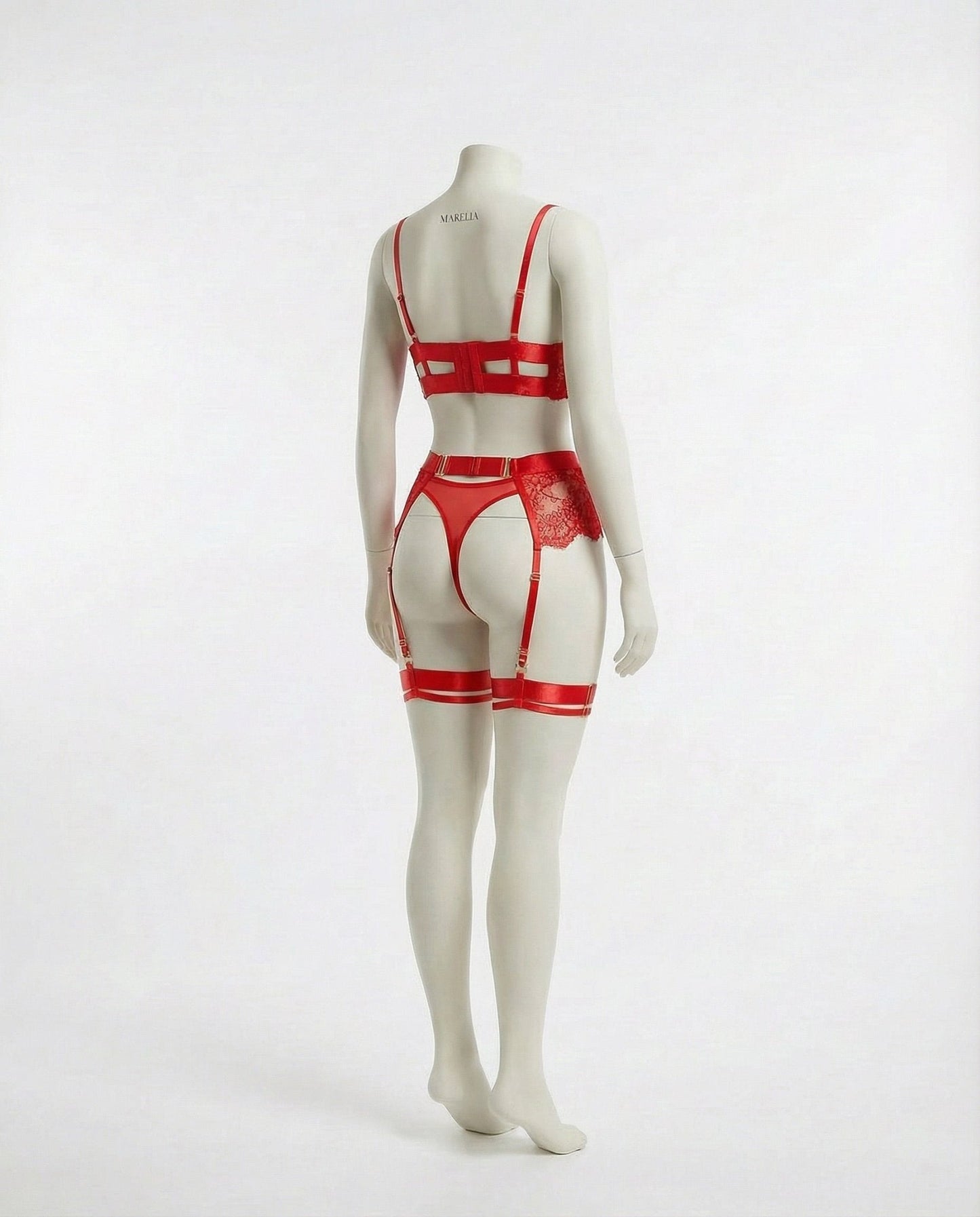 Lace Underwire Bra And Brief Set With Garter Accessories