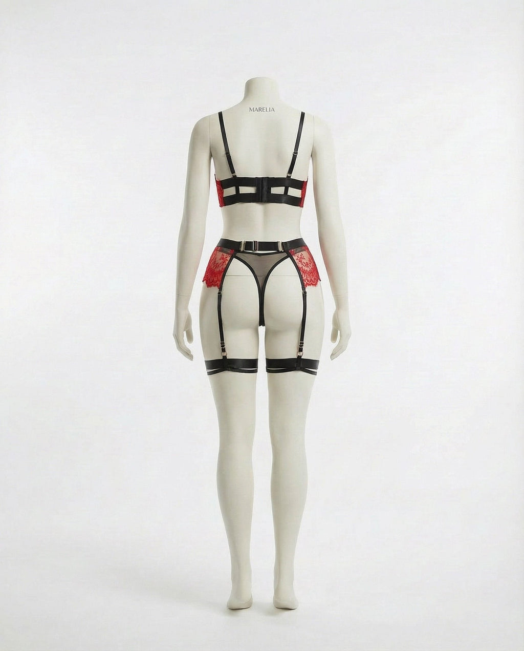 Lace Underwire Bra and High-Waist Brief Set with Lingerie Garter - AR UNIVERSALghntshLingerie Set