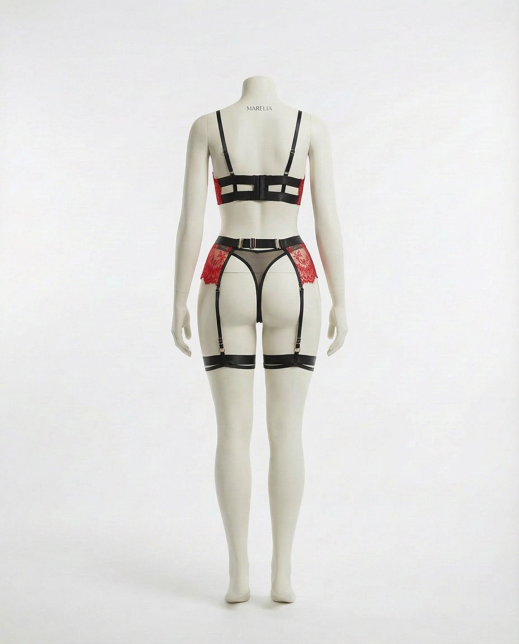 Lace Underwire Bra and High-Waist Brief Set with Lingerie Garter - AR UNIVERSALghntshLingerie Set