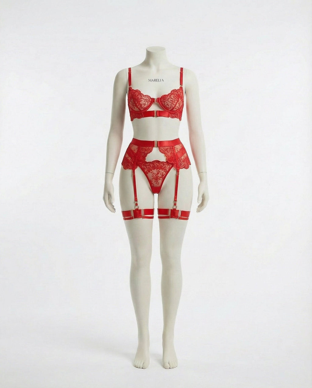 Lace Underwire Bra and High-Waist Brief Set with Lingerie Garter - AR UNIVERSALghntshLingerie Set