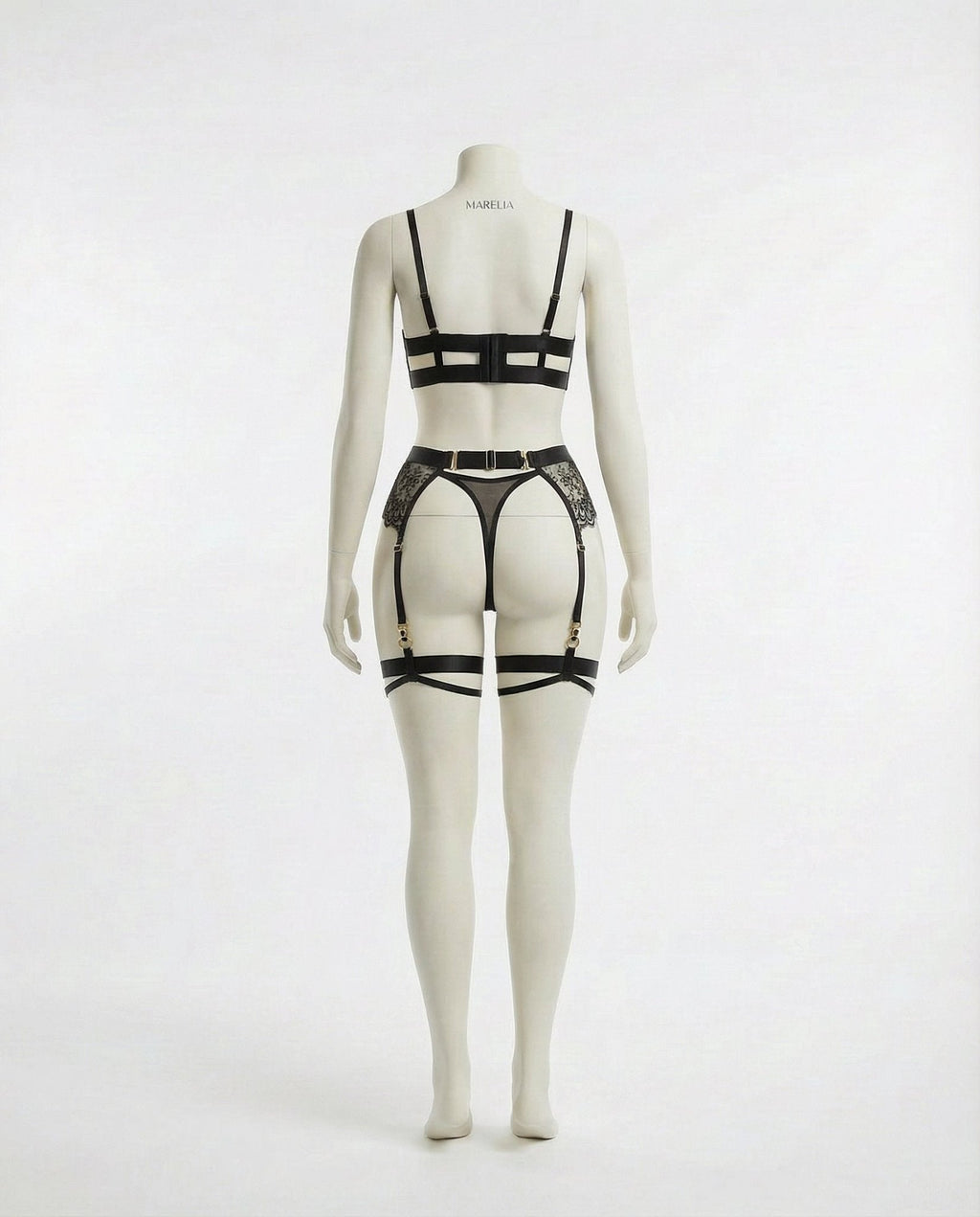 Lace Underwire Bra and High-Waist Brief Set with Lingerie Garter - AR UNIVERSALghntshLingerie Set