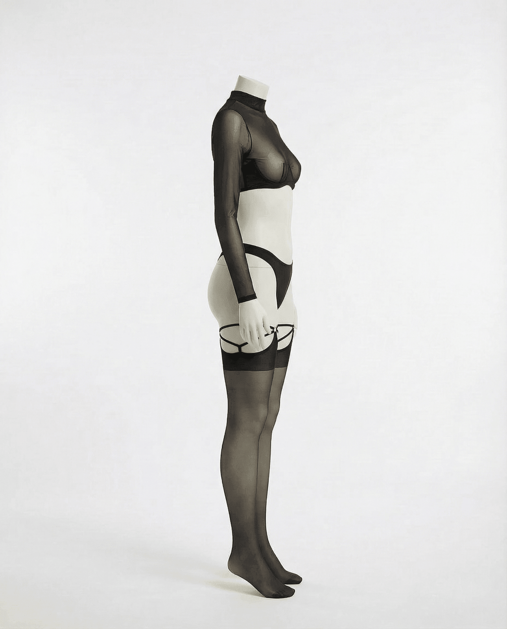 Long Sleeve Mesh Set With Brief And Stockings - AR UNIVERSALghntshLingerie Set