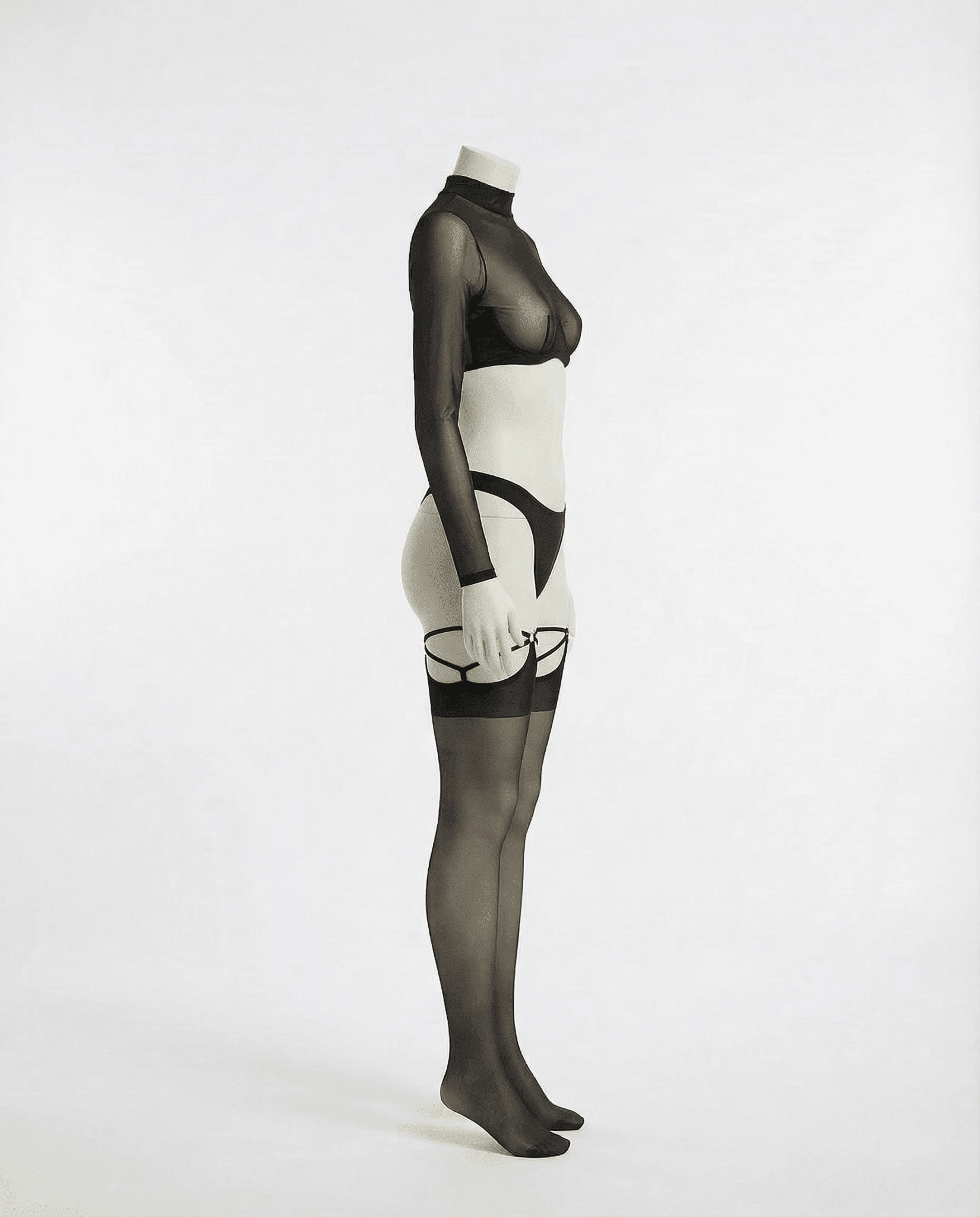 Long Sleeve Mesh Set With Brief And Stockings - AR UNIVERSALghntshLingerie Set