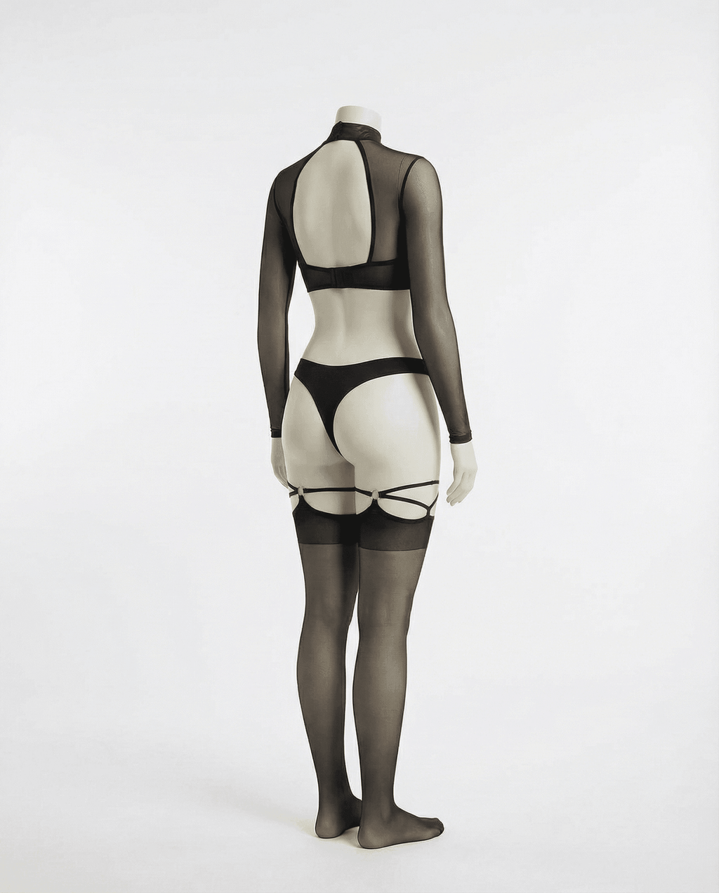 Long Sleeve Mesh Set With Brief And Stockings - AR UNIVERSALghntshLingerie Set