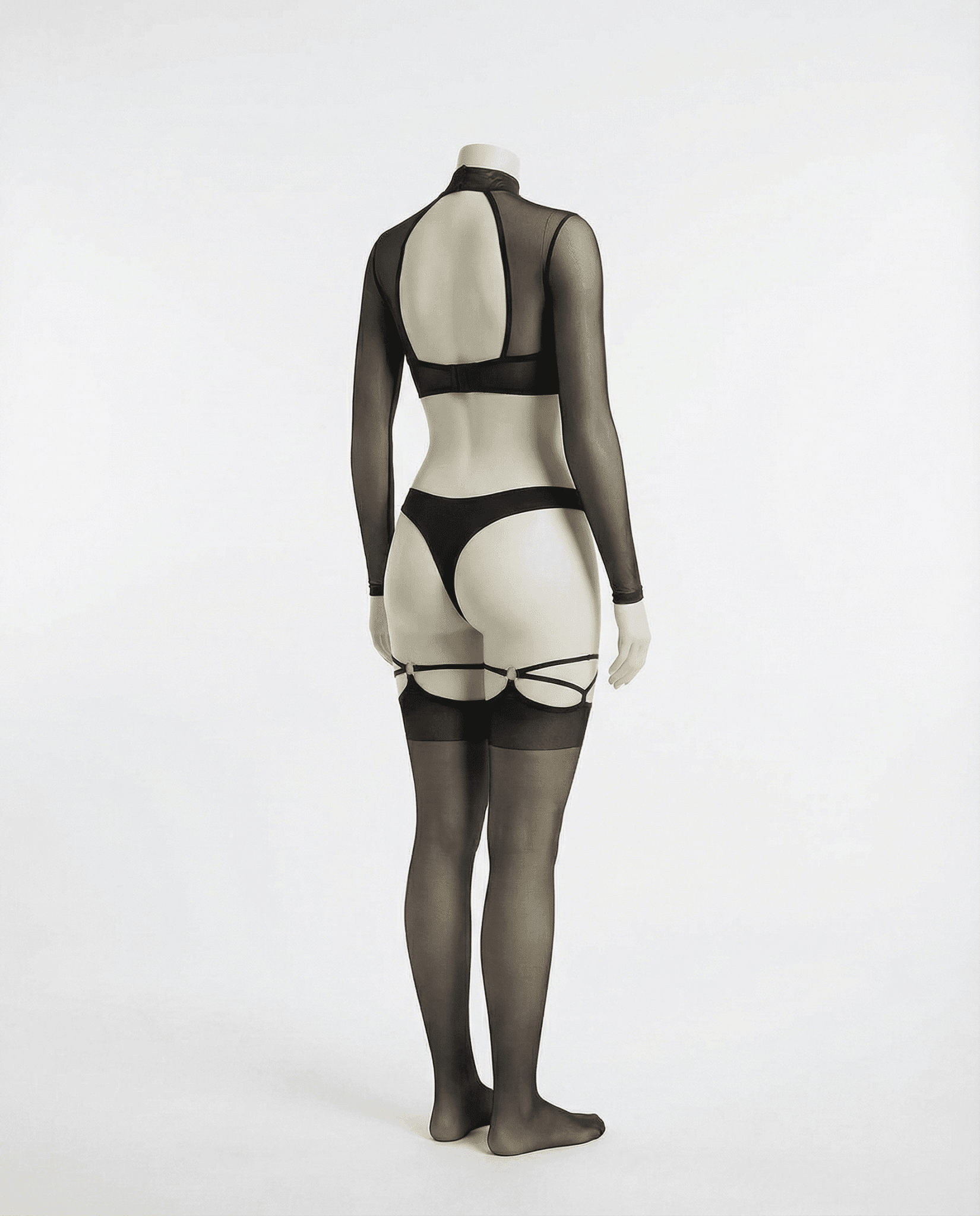 Long Sleeve Mesh Set With Brief And Stockings - AR UNIVERSALghntshLingerie Set