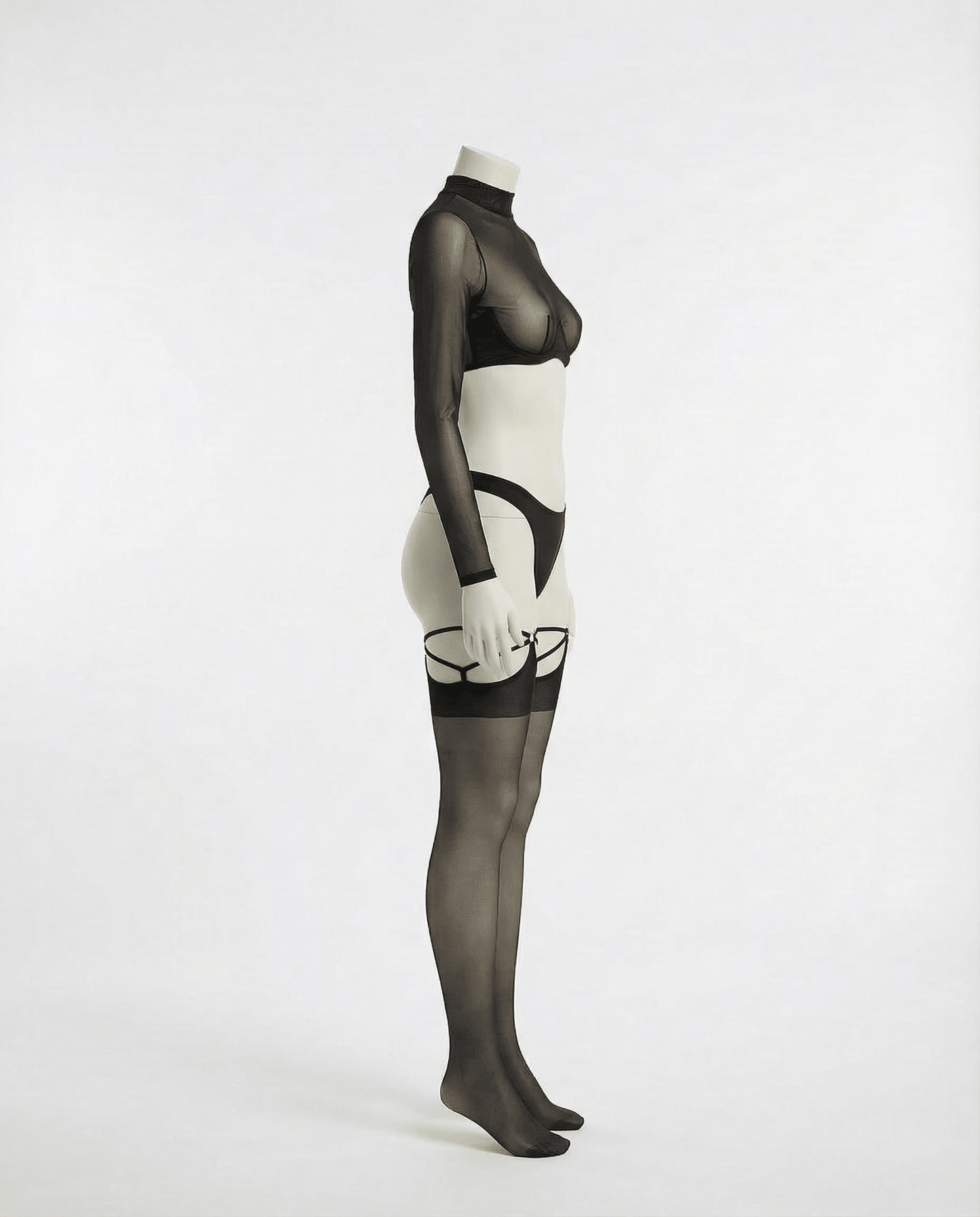 Long Sleeve Mesh Set With Brief And Stockings