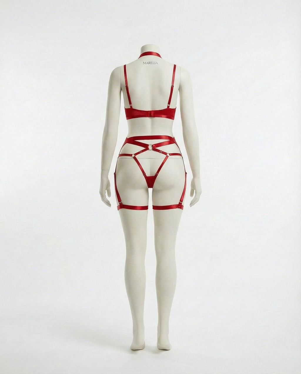 Satin Underwire Bra With Strappy Garter Belt Set - AR UNIVERSALghntshLingerie Set