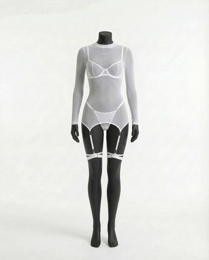 Sheer Mesh Long Sleeve Set With Bra And Panty