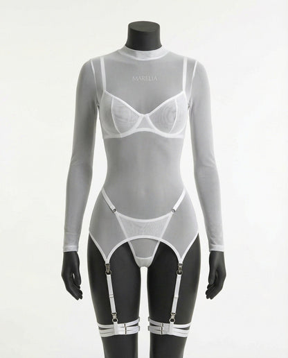Sheer Mesh Long Sleeve Set With Bra And Panty