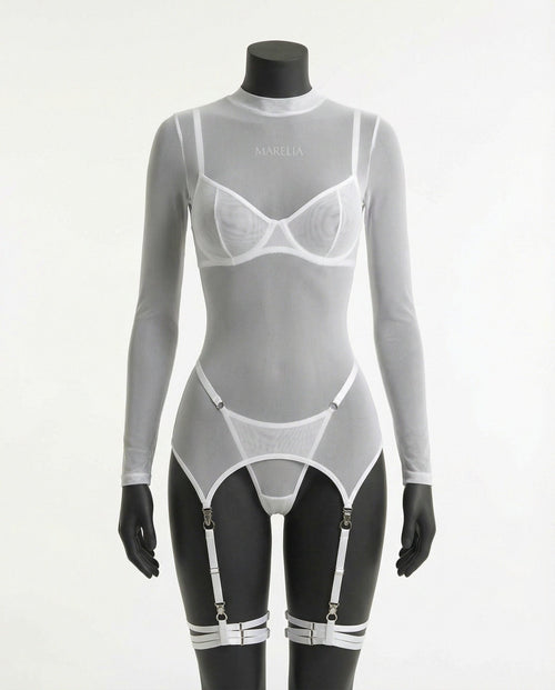 Sheer Mesh Long Sleeve Set With Bra And Panty