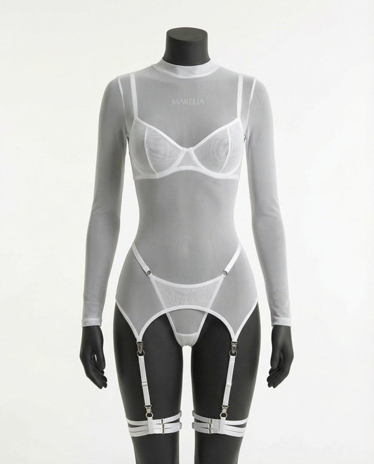 Sheer Mesh Long Sleeve Set With Bra And Panty
