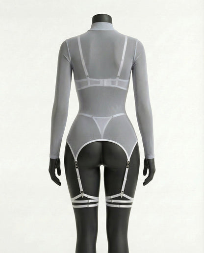Sheer Mesh Long Sleeve Set With Bra And Panty