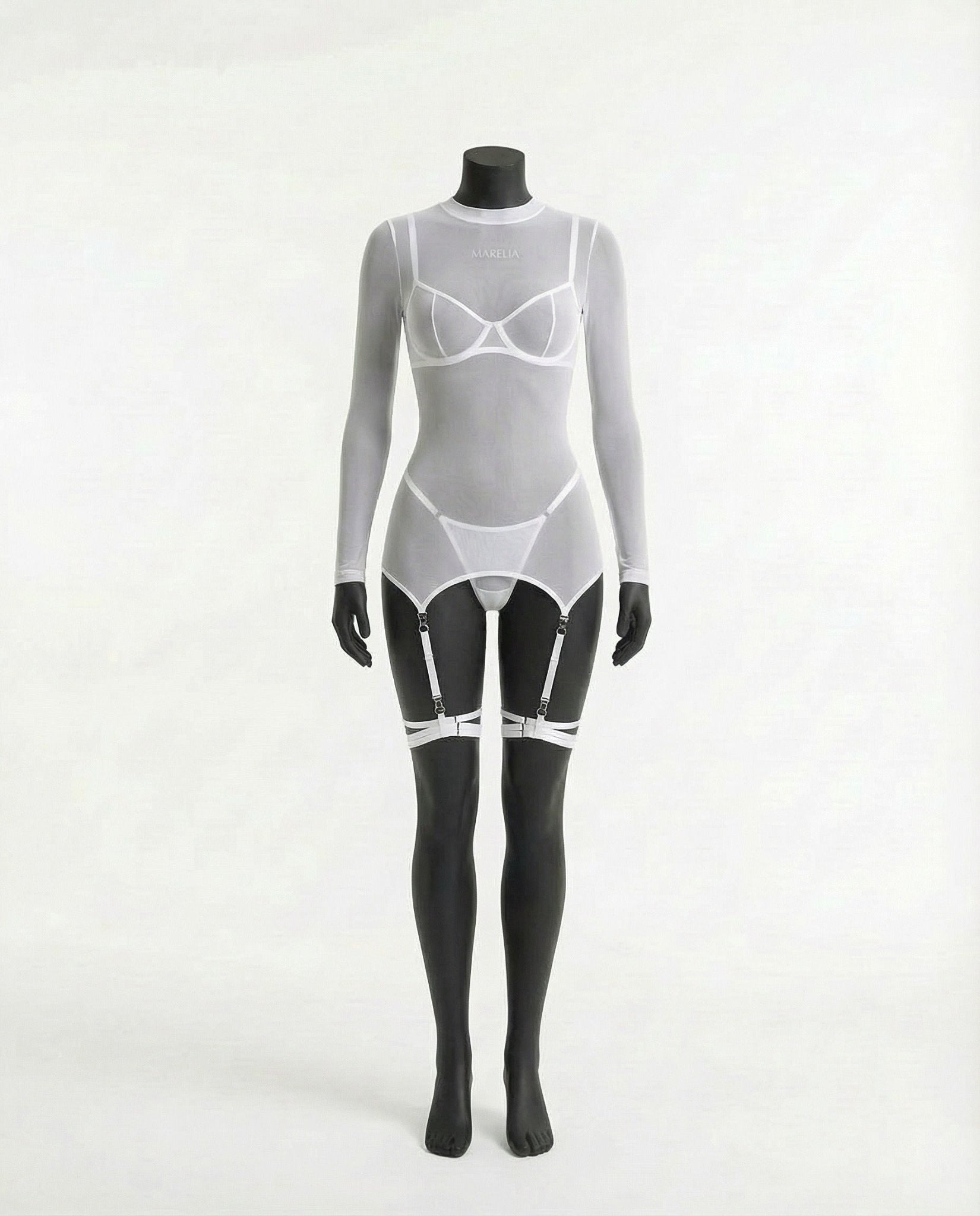 Sheer Mesh Long Sleeve Set With Bra And Panty - AR UNIVERSALAR UNIVERSALLingerie Set